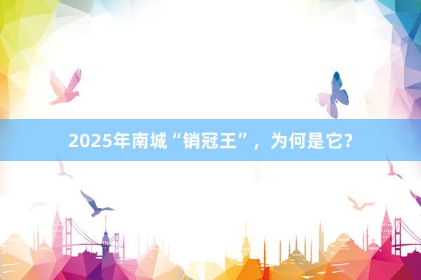 2025年南城“销冠王”，为何是它？