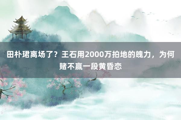 田朴珺离场了？王石用2000万拍地的魄力，为何赌不赢一段黄昏恋