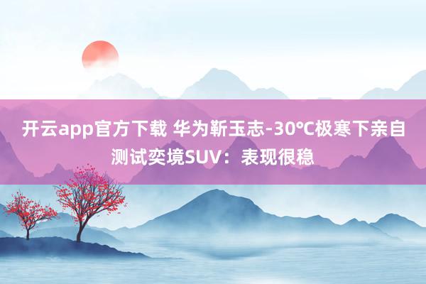 开云app官方下载 华为靳玉志-30℃极寒下亲自测试奕境SUV：表现很稳