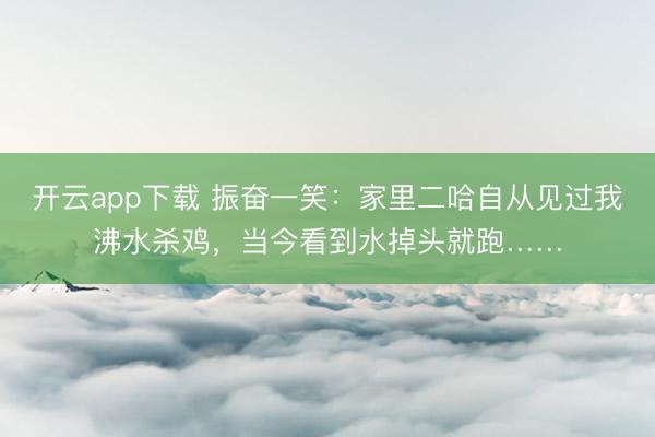 开云app下载 振奋一笑：家里二哈自从见过我沸水杀鸡，当今看到水掉头就跑……